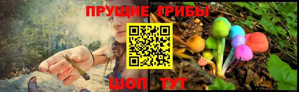 Галлюциногенные грибы прущие грибы  Вход с VPN  Верхняя Салда 